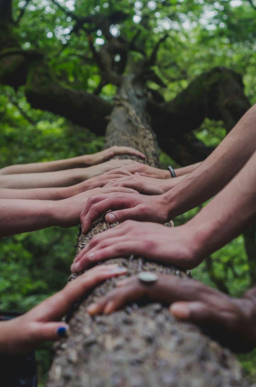 Engagé Eurodor : Conseil Stratégie RSE, certification, participation